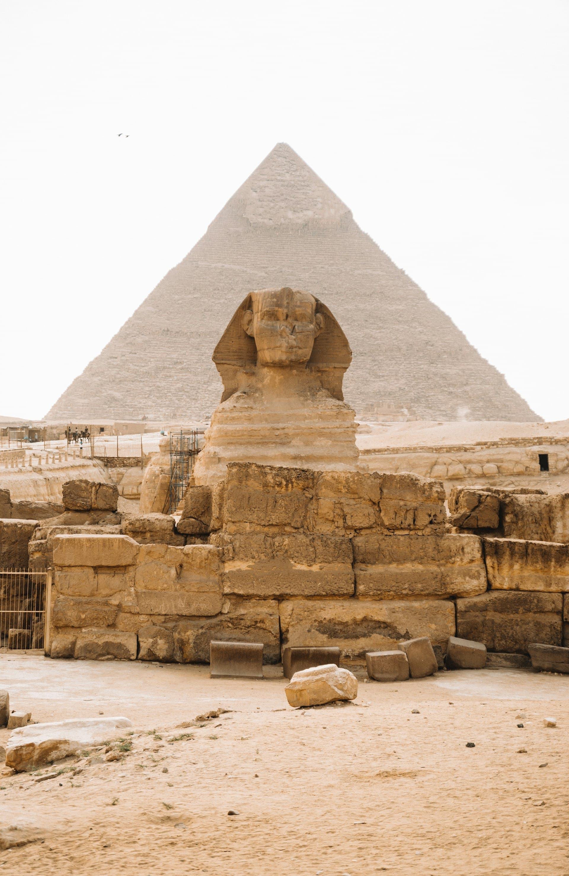Alexandria Mediterranean Escape Private Experience